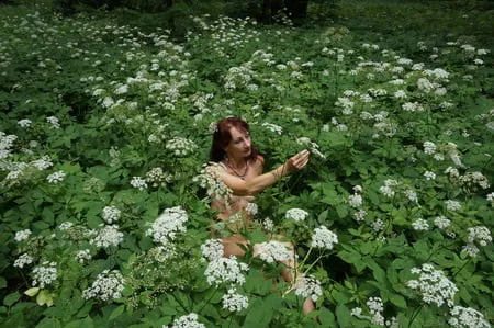 in white flowers           