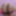 Indian desi bhabhi priya nude picture 