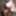 Kinky Posing Slutty Evelina 11