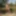 Matti am Zaun, rasiert mit Cockring, am See, shaved Gay