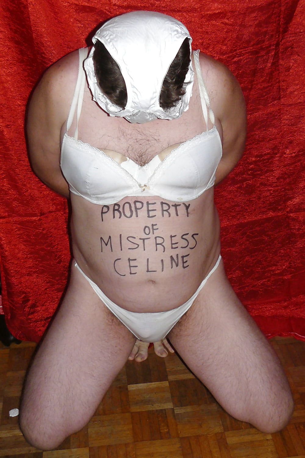 My Mistress Celine allows you to cum! #2