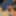 Haired Dick &amp; Balls Cockhead Foreskin  Masturbation  #32