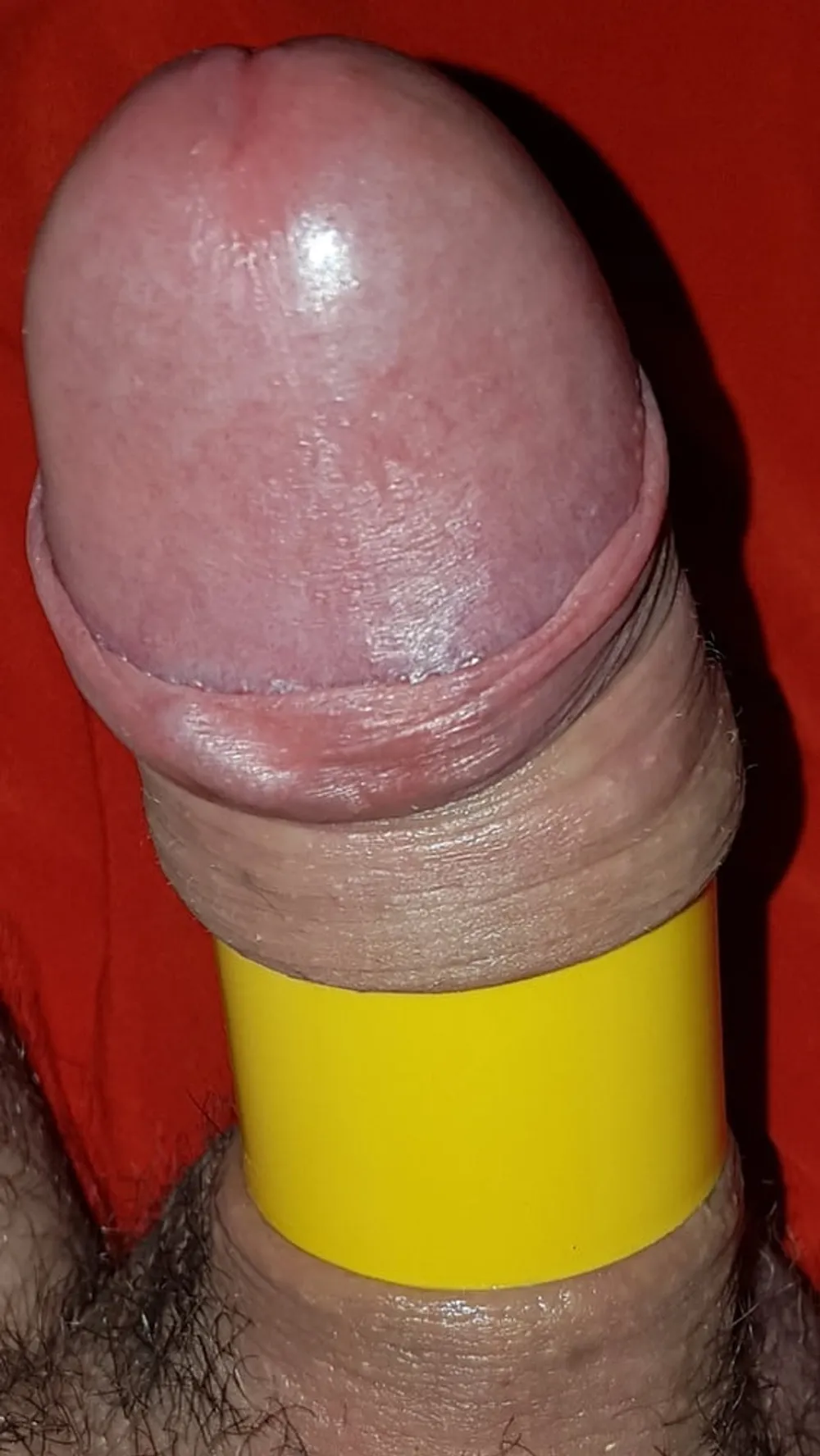 Cock ring #14