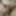 Gifs