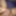 Indian horny big hard dick