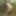 NAKED in the forest - ass SPANKING