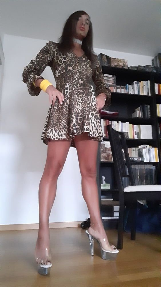 Sissy Tygra in leopard dress on 2019 octobre. #22