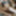 NEW 2019 Pics #30