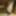 Intimate Cock Photo 2023 #2