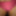 More panties and cock #24