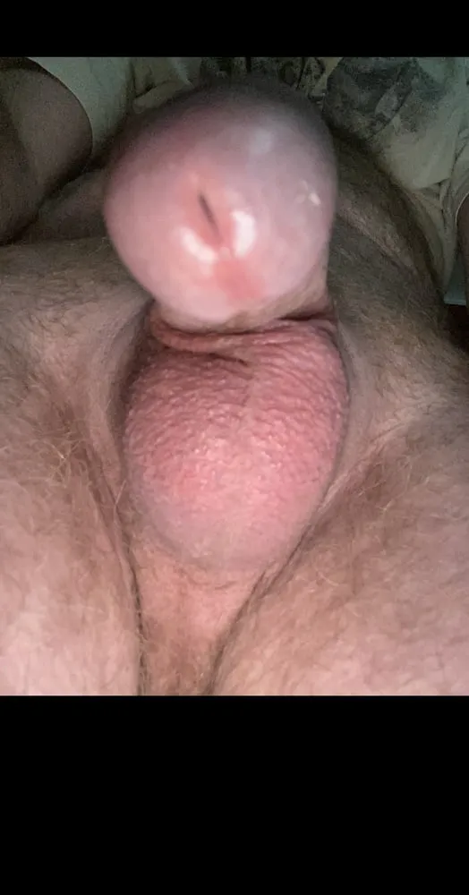 Cock #2