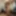 20190910 huge bras...