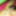 malibogpinoy69コック