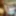 Dec 24 WEEKLY Video Update to DoggVision VIP Members Area