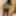Black honey gets recorded as she showers #16