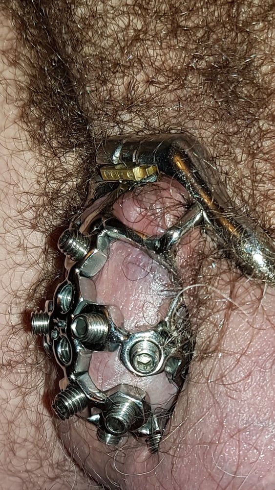 Chastity cage #19