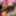 4k Degrading Sex Msnovember # 1 POV Stepdad Sodomy Big Ass 