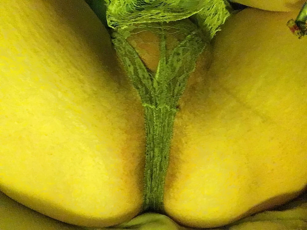 Slut #34