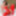 TGIRLS.XXX: Love to Love You, Baby #6