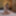 Noa Yonekura :: Wetting By Looking - CARIBBEANCOM #2
