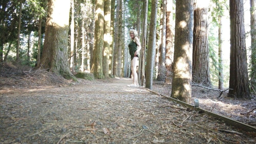 Crossdress Walk in the Pine forest #4