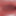 Close up Cock