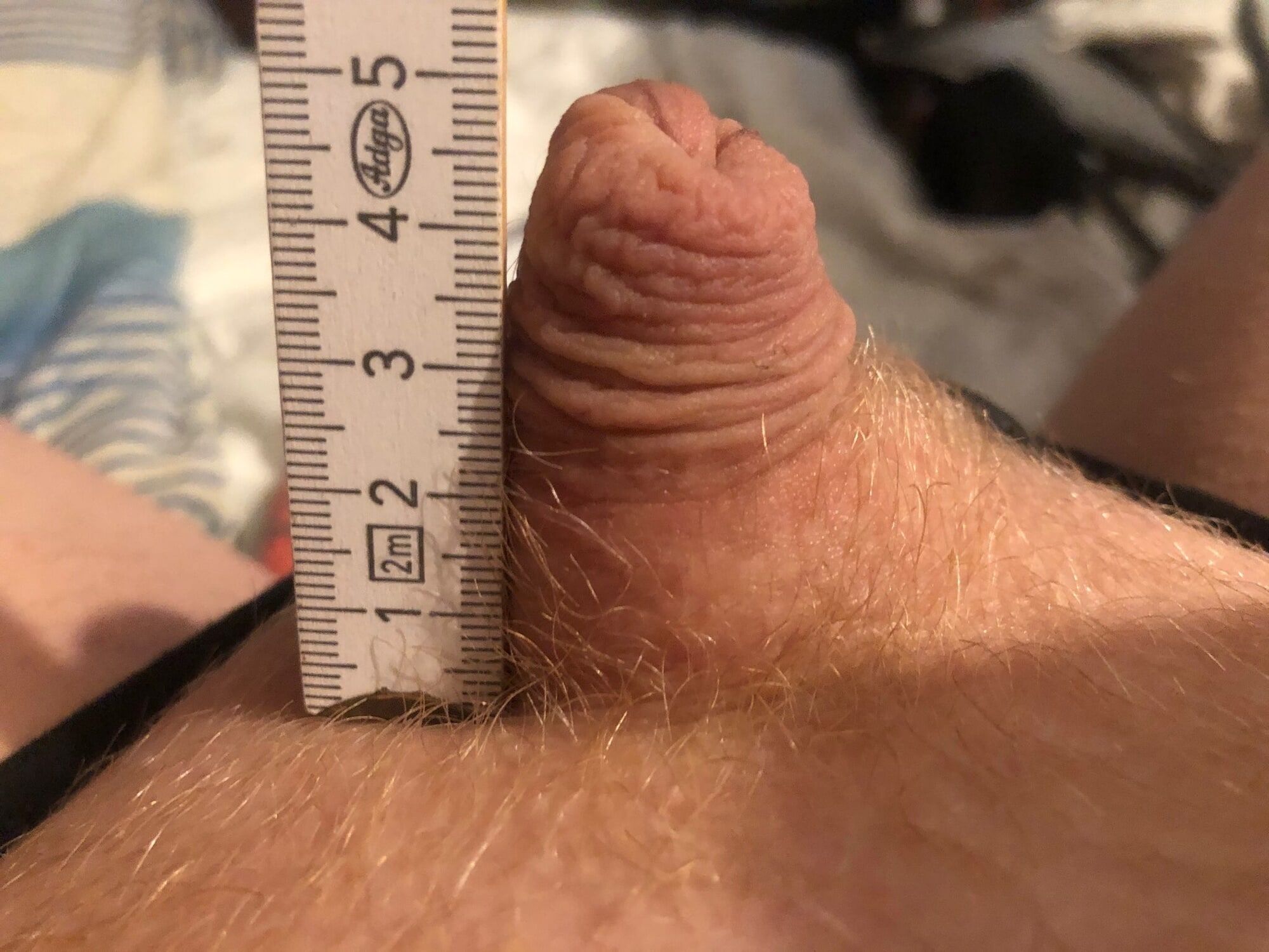 My cock when its small  #7