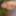 SelfiesNudes al Aire Libre (Excitado en la Calle) #23
