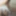 MY DICK GALLERY 