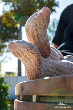 sexy legs in white fishnet tights in the park         