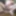 new set of nude pics
