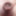 close up cock