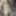 Pictres of me in 2025