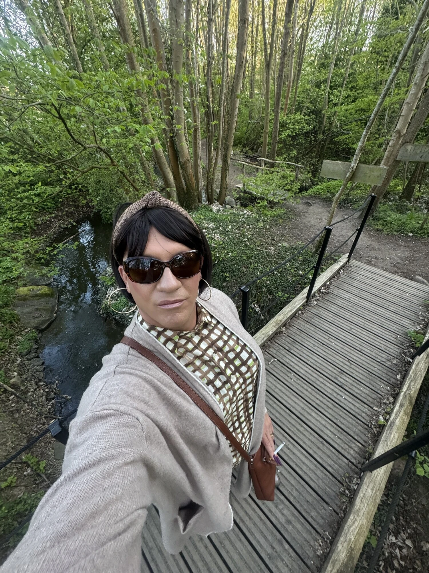 Walking in the woods #27
