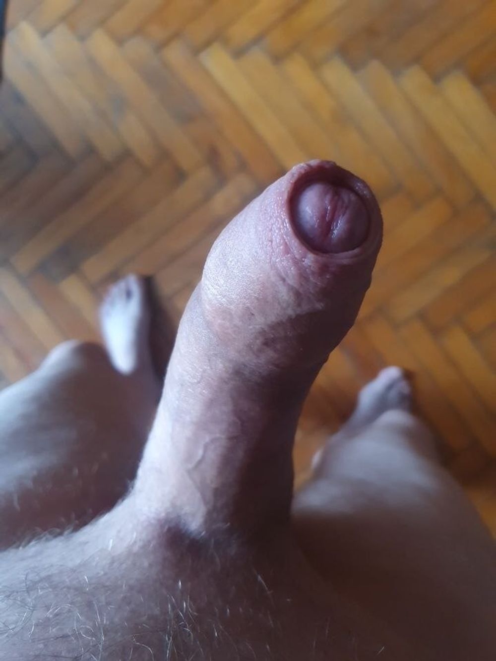 My Cock #13