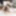 BOBSTGIRLS: Racy Tracy&#039;s Showtime! #6