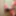 Various TVBclown slut pics from April 2025