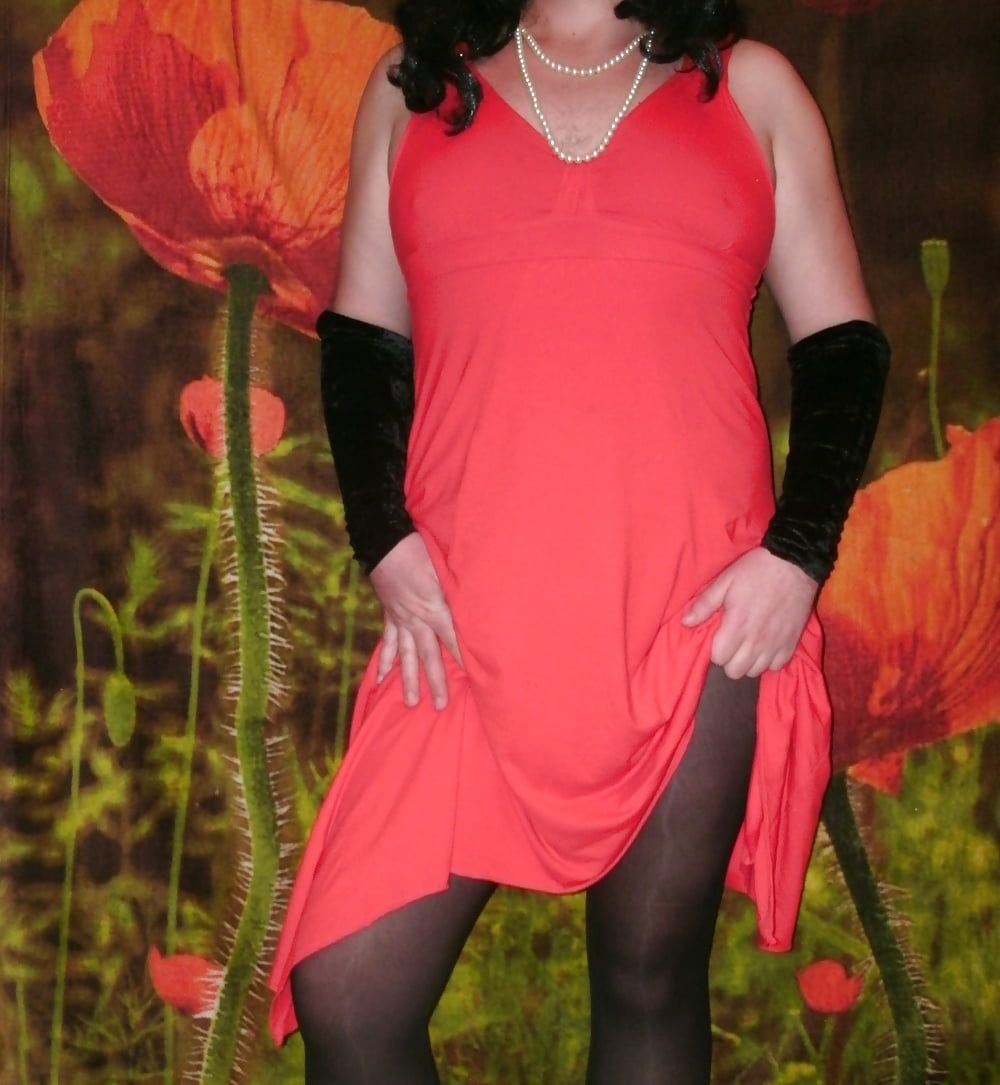 Sissy Boy Lovelaska -   Red poppies #16