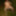 Amateur mature mom blows BBC like true whore PART 2 #17