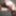 Kinky Posing Slutty Evelina 11