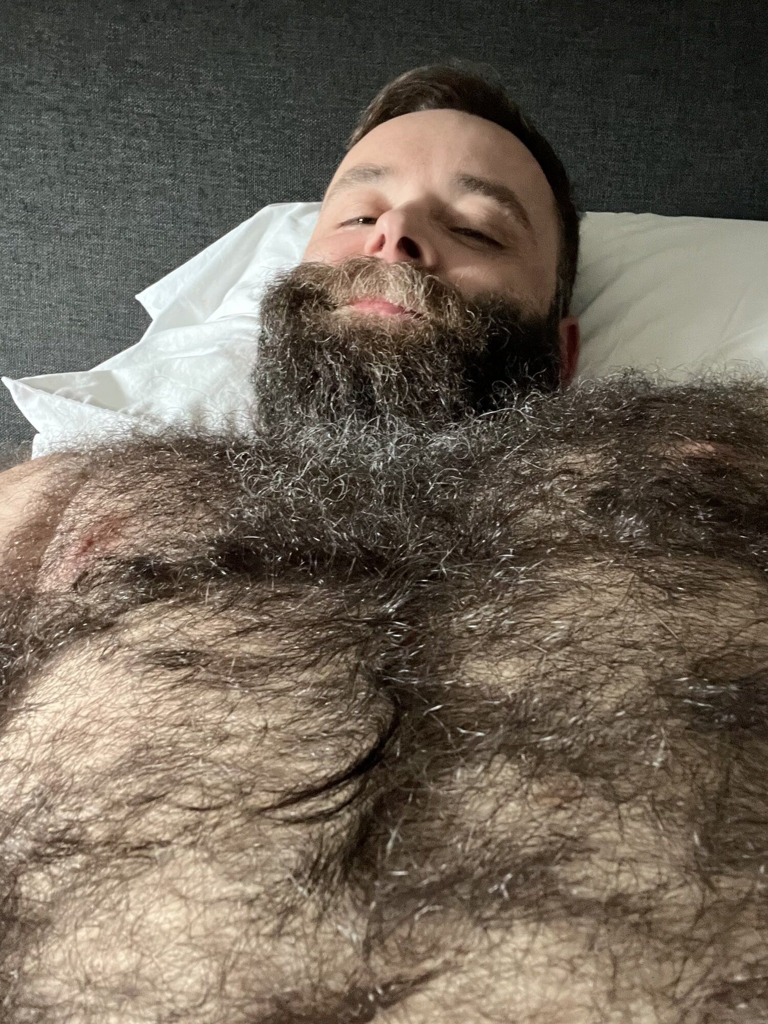Your Hairy Bear Dad #4