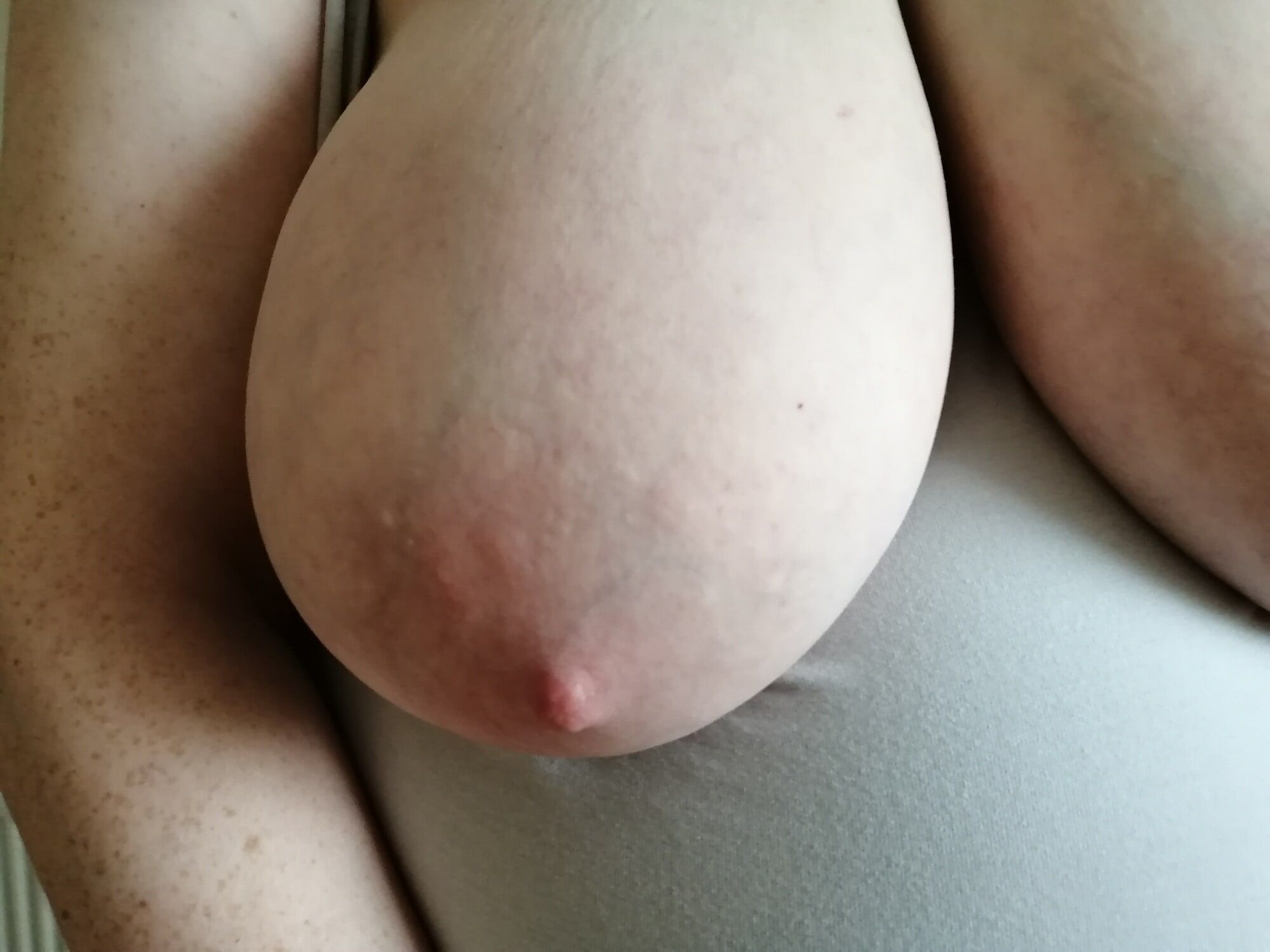 Good-quality photos of my tits #39