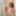 Marri Free Photos