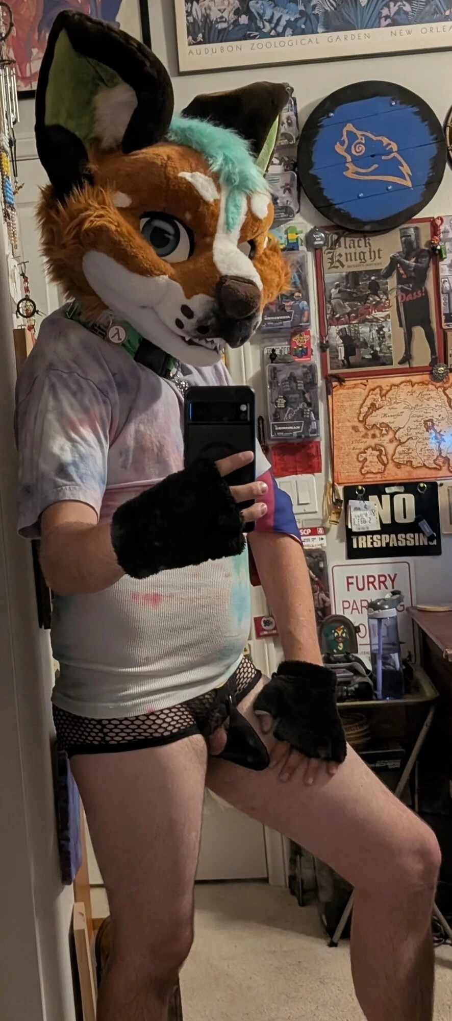 毛茸茸的赫斯基的展览