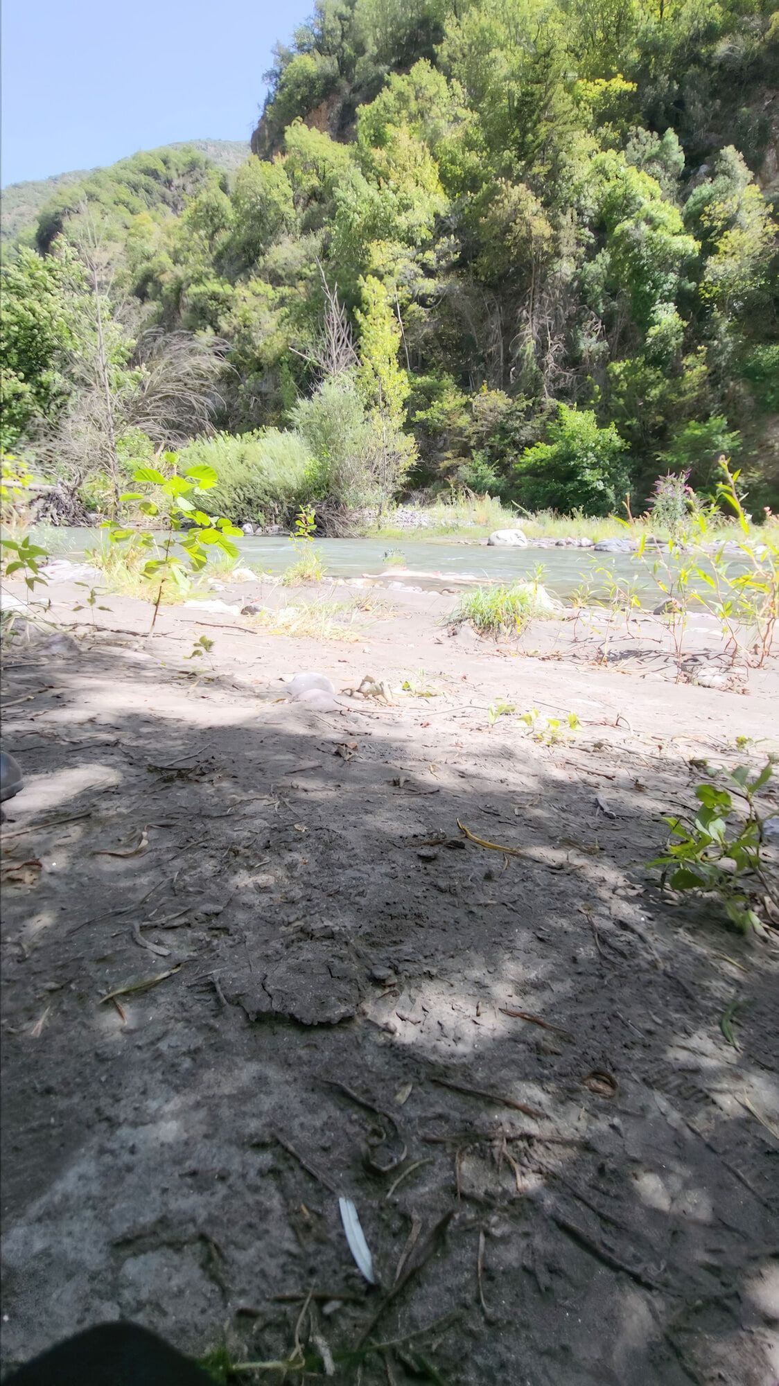 Bathing in creek #18