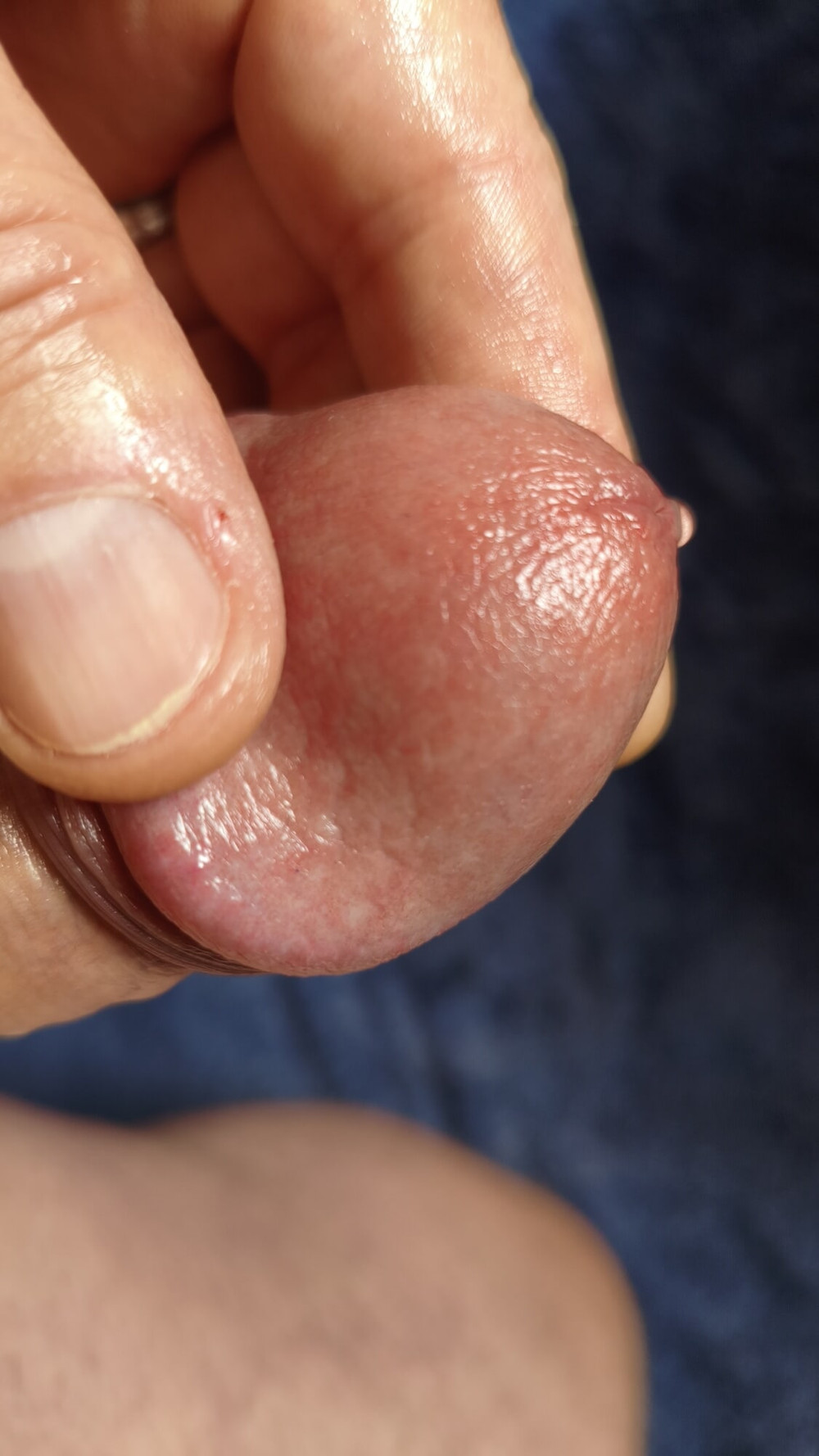 Cock #5