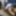 Sissy Ashley Jolene Ass Fucked with a Medium Black Dildo #50