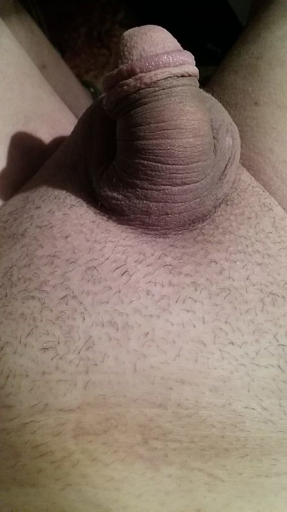 My circumcised penis new pics #7