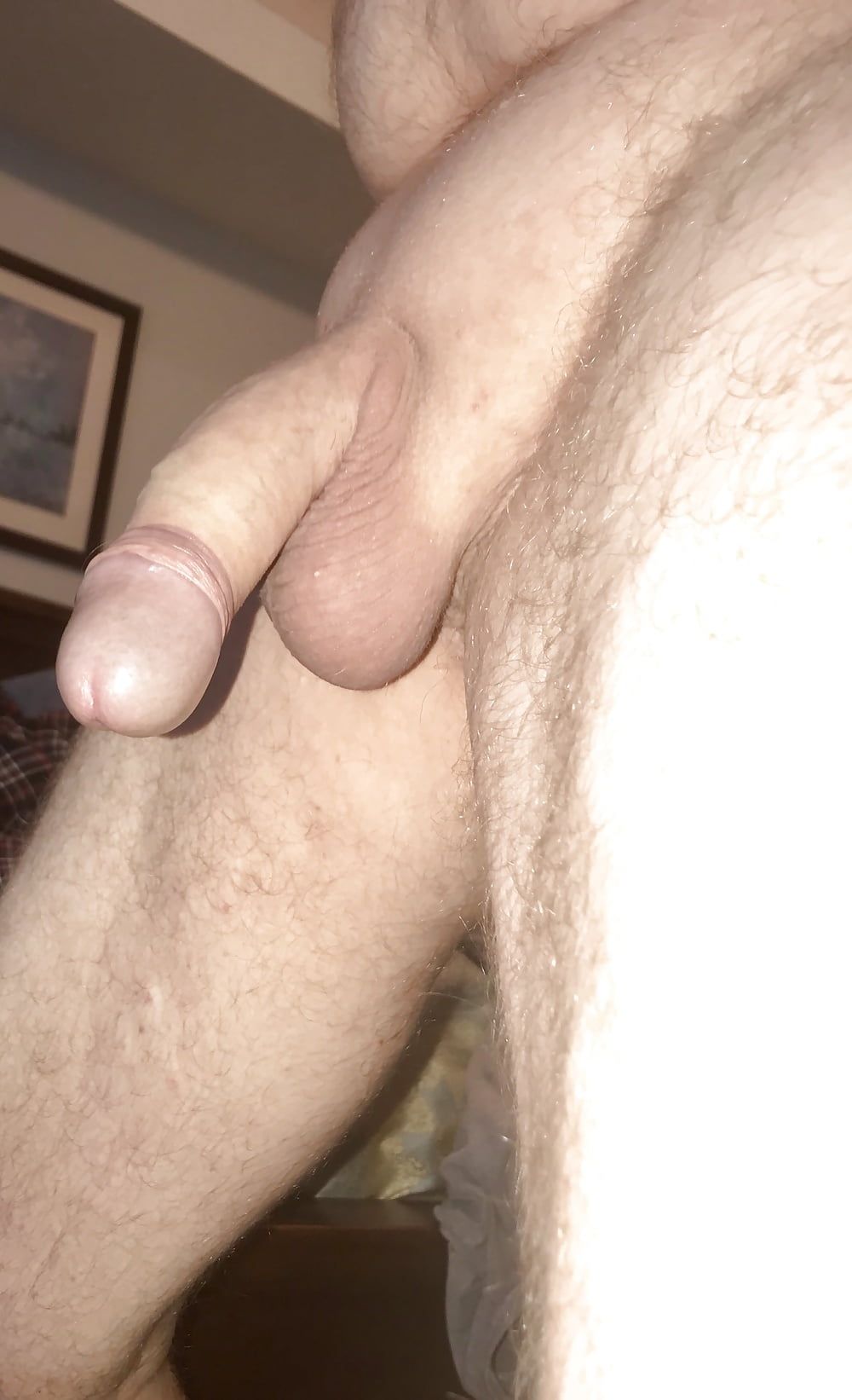 Limp Cock #5