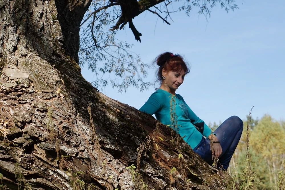 On old willow #3